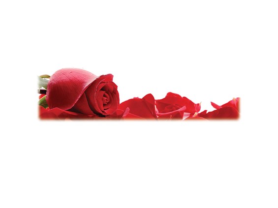 Red Roses-Wilbert Legacy Two Print