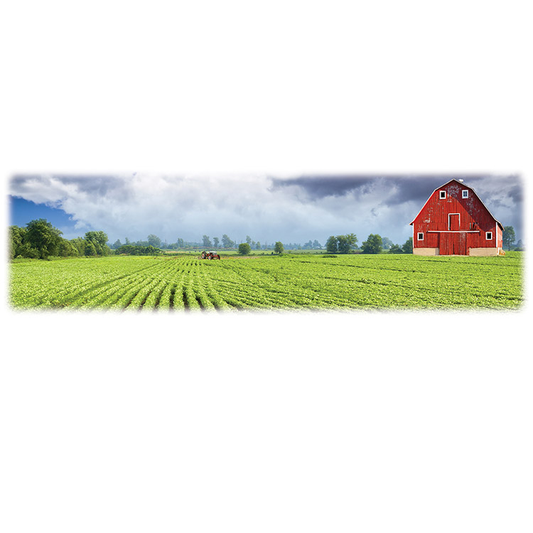 Green Field and Barn-Wilberty Legacy Two Print