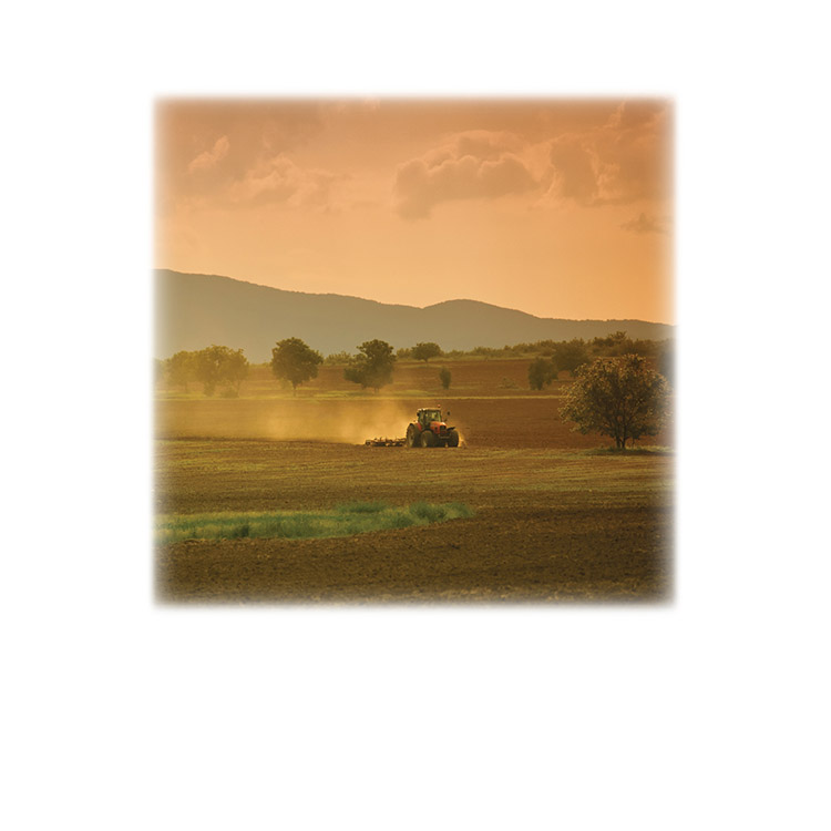 Farm Field &#38; Tractor-Legacy Two Urn Vault Print