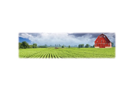 Green Field and Barn-Wilberty Legacy Two Print