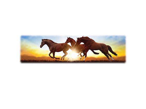 Horses-Wilbert Legacy Two Print