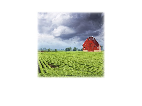 Green Field &#38; Barn-Legacy Two Urn Vault Print