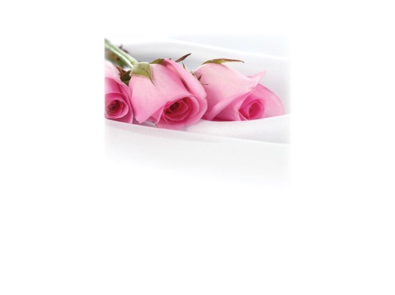 Roses on Silk-Legacy Two Urn Vault Print