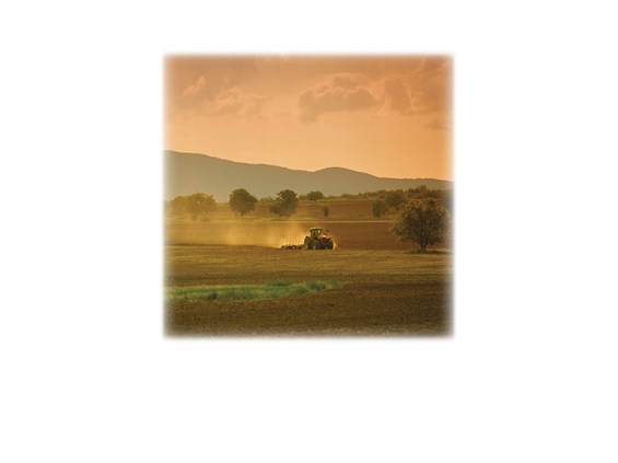 Farm Field &#38; Tractor-Legacy Two Urn Vault Print