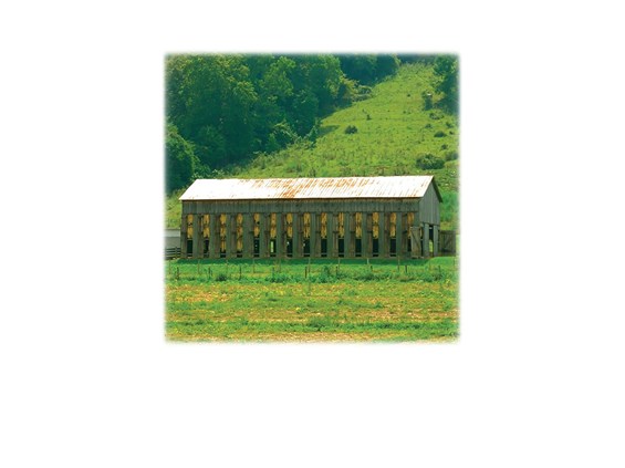 Tobacco Barn-Legacy Two Urn Vault Print