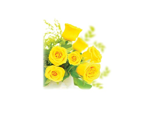 Yellow Roses-Legacy Two Urn Vault Print