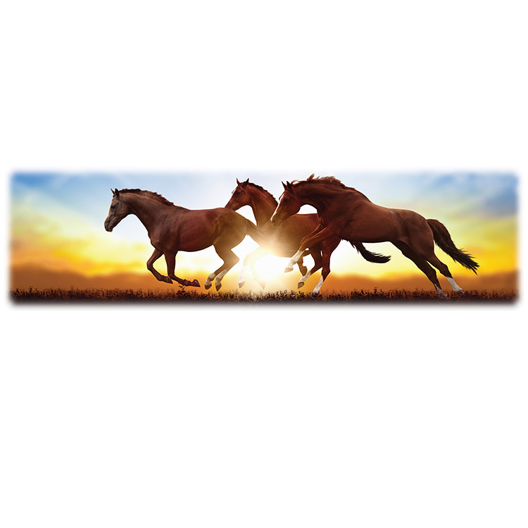 Horses-Wilbert Legacy Two Print