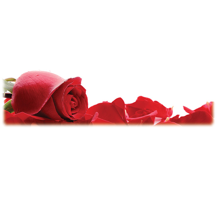 Red Roses-Wilbert Legacy Two Print