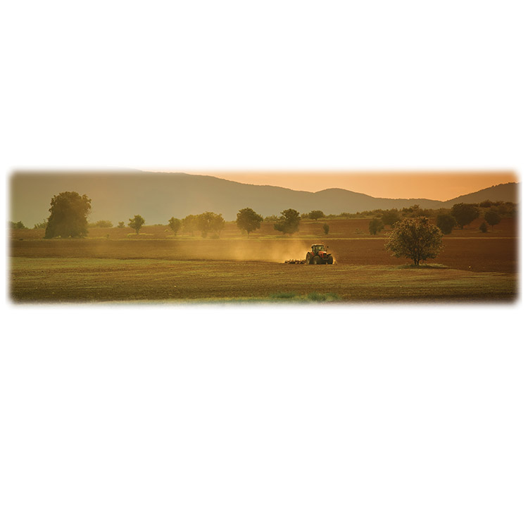 Farm Field and Tractor-Wilbert Legacy Two Print