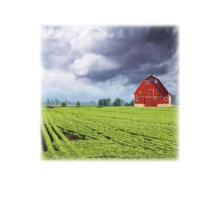 Green Field &#38; Barn-Legacy Two Urn Vault Print