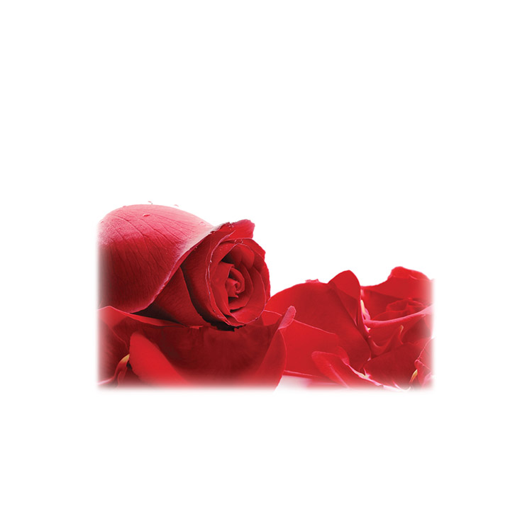 Red Roses-Legacy Two Urn Vault Print