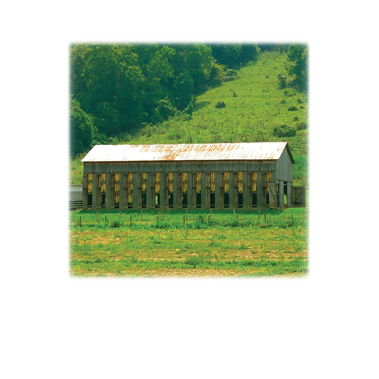 Tobacco Barn-Legacy Two Urn Vault Print