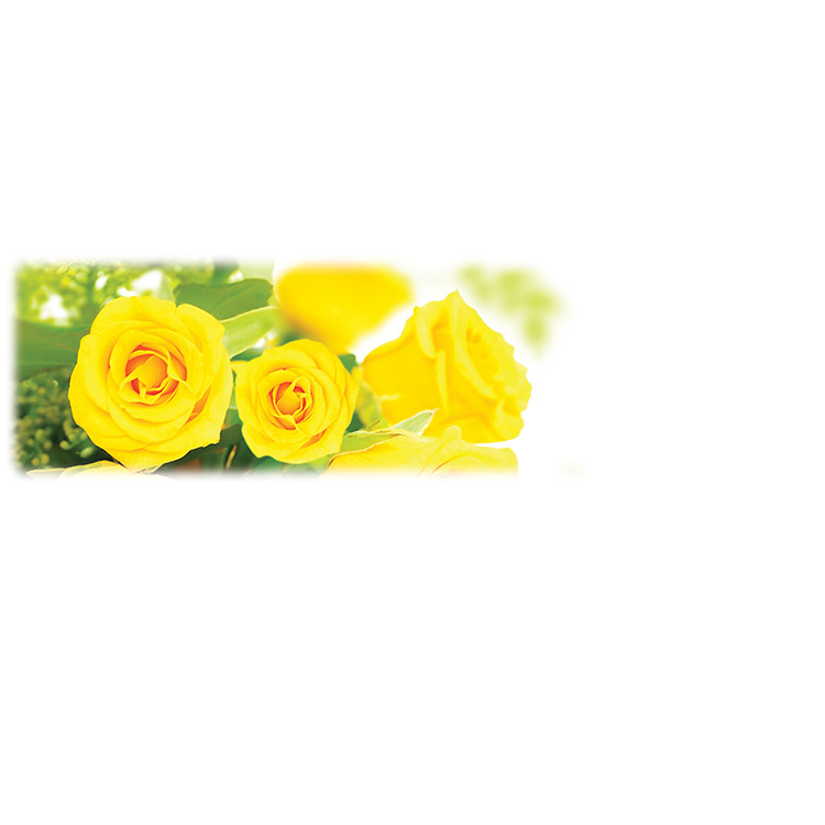 Yellow Roses-Wilbert Legacy Two Print