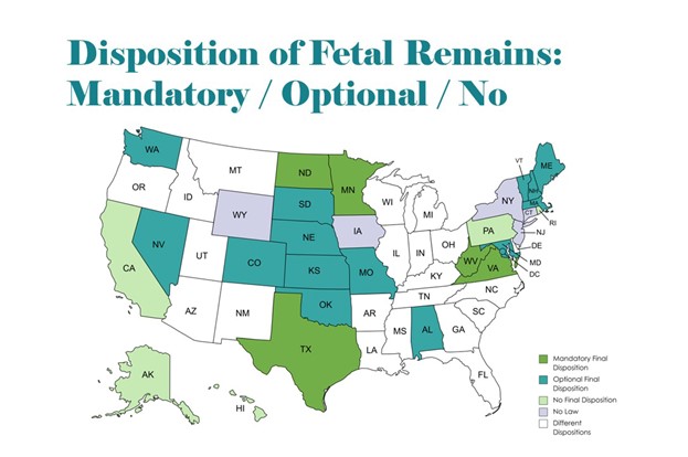 fetal_remains3