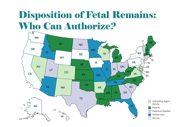 fetal_remains_4